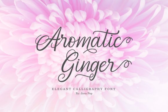 Aromatic Ginger Font for Elegant Branding