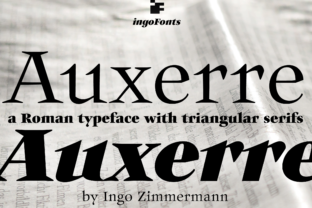 Auxerre: A Light Serif Font That Elevates Small Business Branding