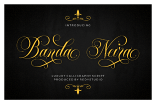 Banda Neira Script Handwritten Font for Standout Campaigns