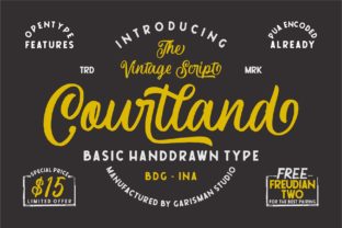 Courtland: A Bold Vintage Script Handwritten Font for Retro Branding