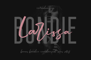 Larissa Duo: A Bold Script Handwritten Font for Modern Web Design