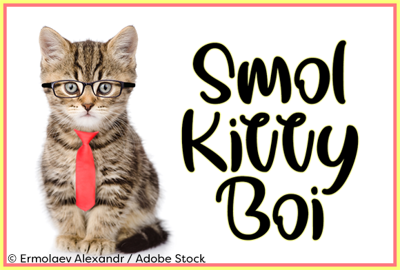 Smol Kitty Boi: A Funky Handwritten Font with Playful Charm