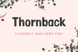 Thornback Font: A Web Designer’s Review for Digital Branding